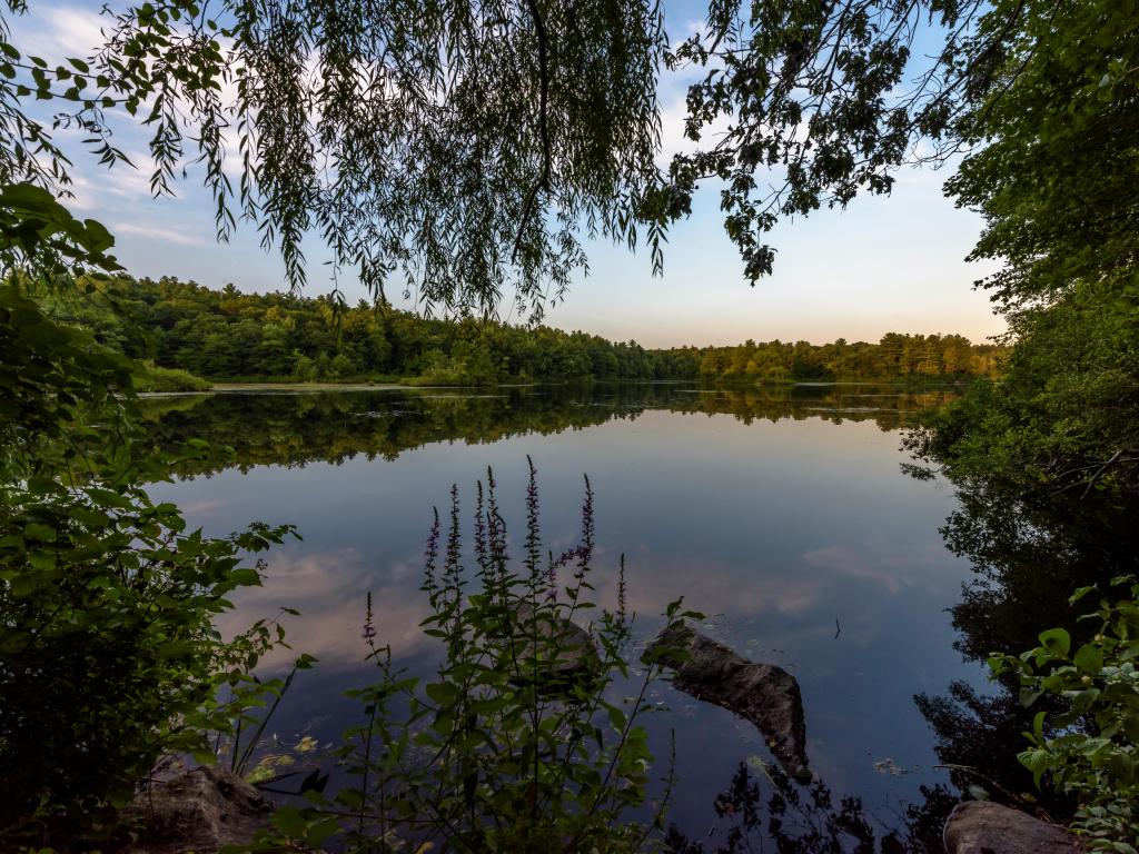 Wompatuck State Park, Massachusetts, USA taken at Triphammer Pond with trees surrounding the water at sunset. 