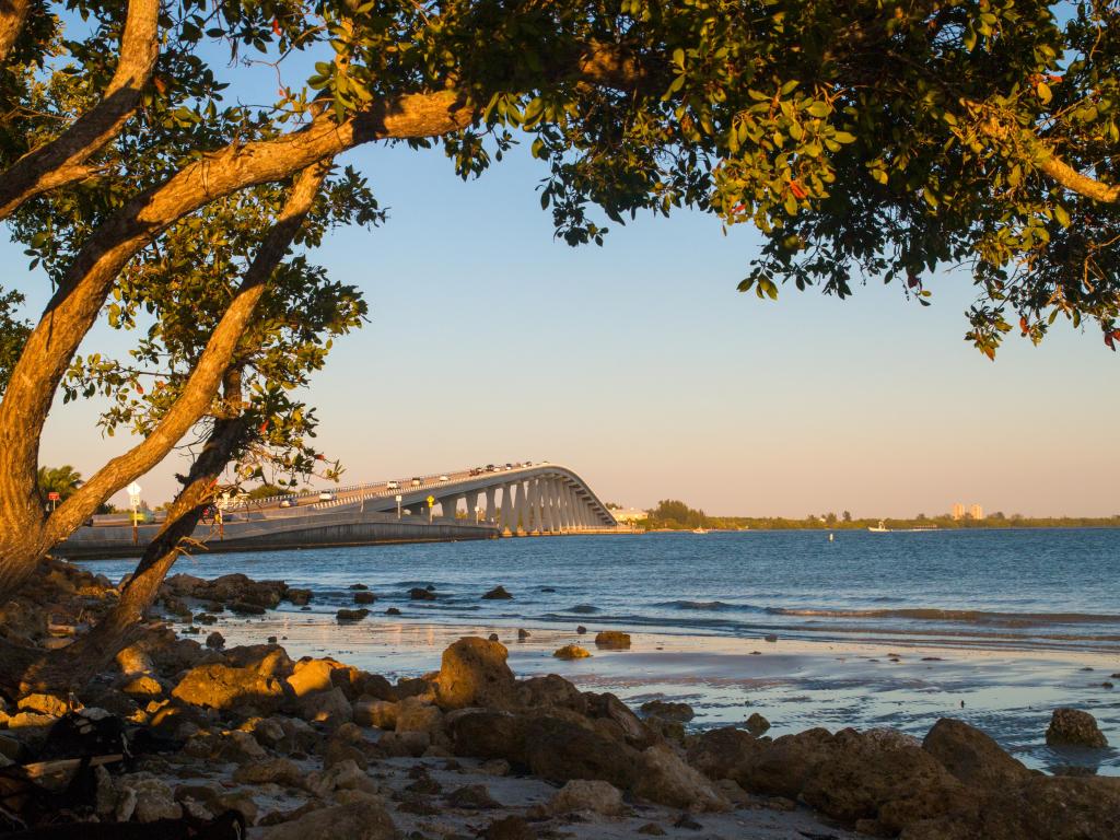 Fort Myers Bridge, Florida, view through the wooden branches tree from the beach on warm afternoon golden sun light, The Sanibel Island Causeway