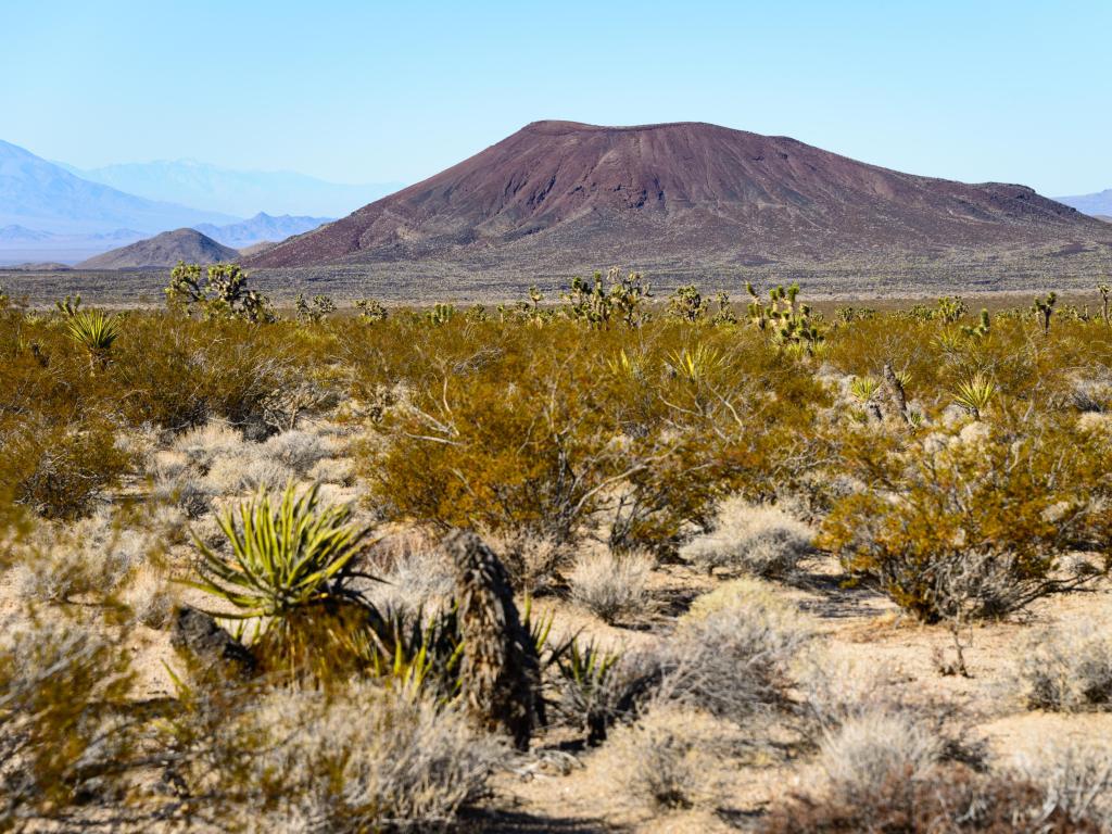 Mojave National Preserve, USA with a desert landscape, shrubs in the foreground and hills in the distance taken on a sunny day.