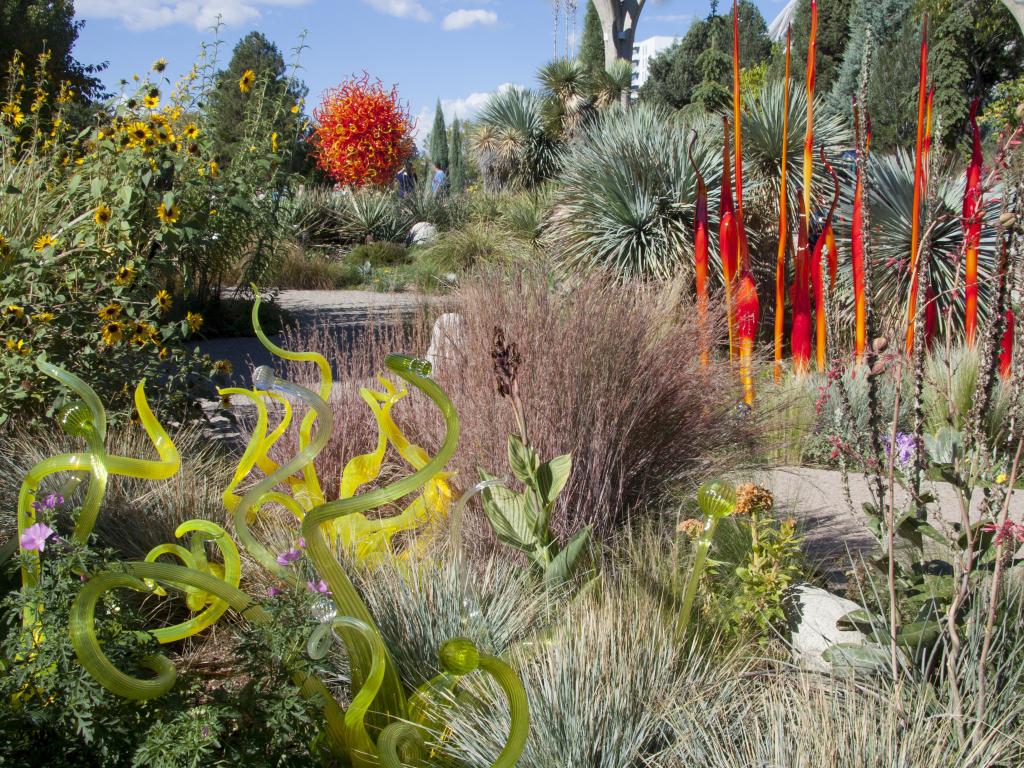 Glass artistry of sculptor Dale Chihuly on display among the autumn foliage at Denver Botanic Gardens, October 11, 2014 in Denver, CO