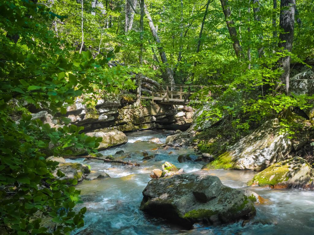 Ouachita National Forest, between Arkansas and Oklahoma, USA with a stream surrounded by trees and rocks, a bridge connects the two and taken on a sunny day.