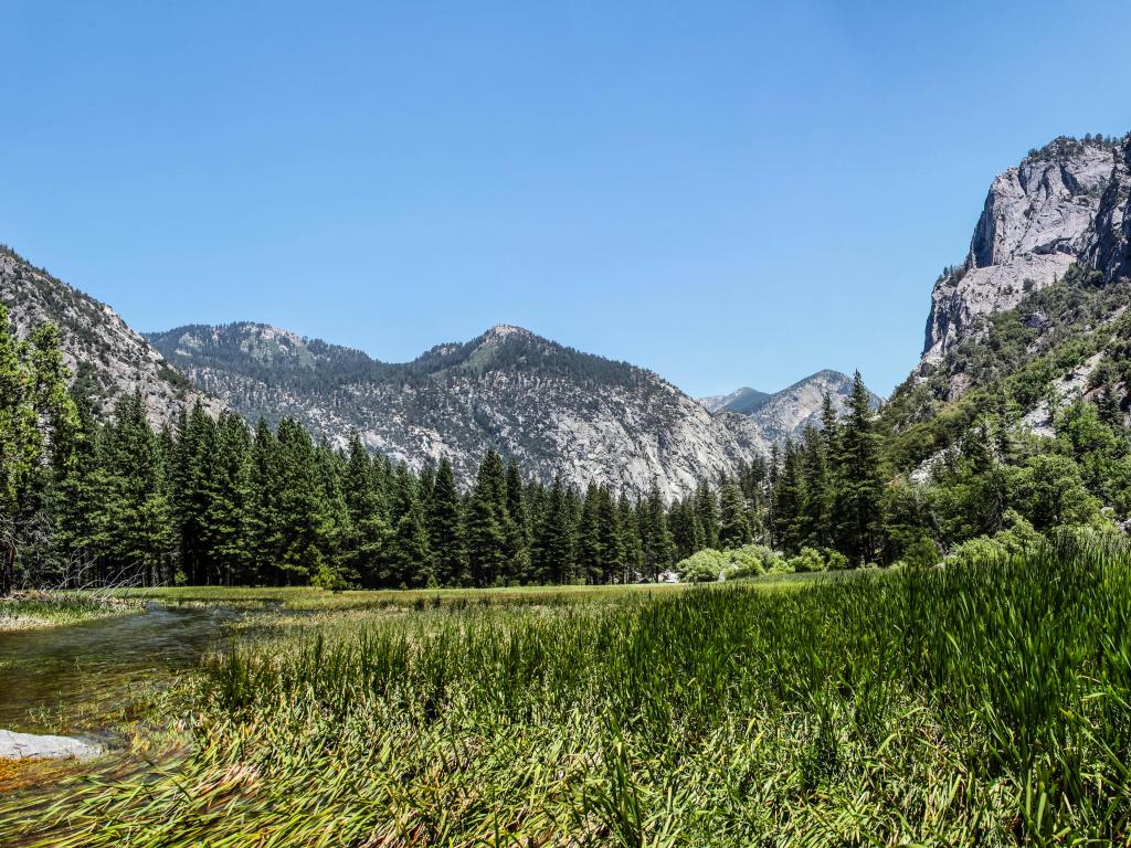 Kings Canyon National Park, California, USA with a panoramic view of Zumwalt Meadow on a sunny day with trees and mountains.