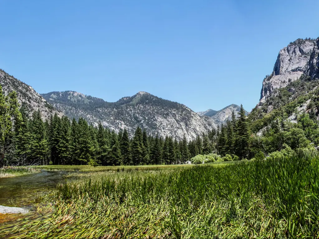 Kings Canyon National Park, California, USA with a panoramic view of Zumwalt Meadow on a sunny day with trees and mountains.