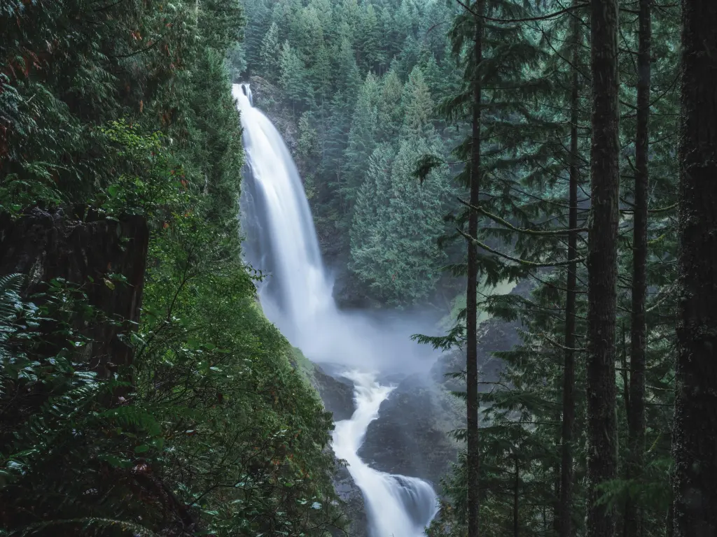 Beautiful waterfall in between evergreen trees in the forest, gloomy day