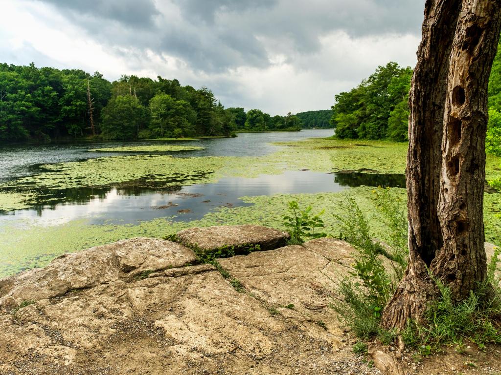 Wawayanda State Park, USA with a beautiful summer view of the lake and rocky terrain in the foreground and the forest in the background. 