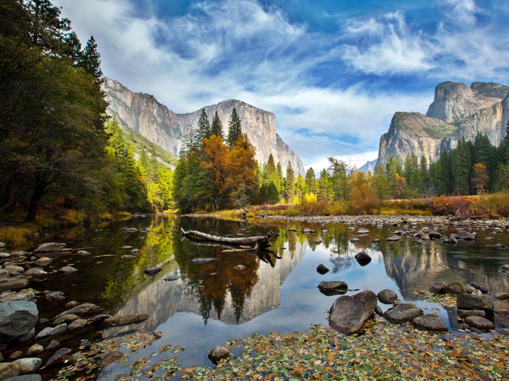 Yosemite National Park, USA with El Capitan in the distance and the Merced River in the foreground on a sunny day.