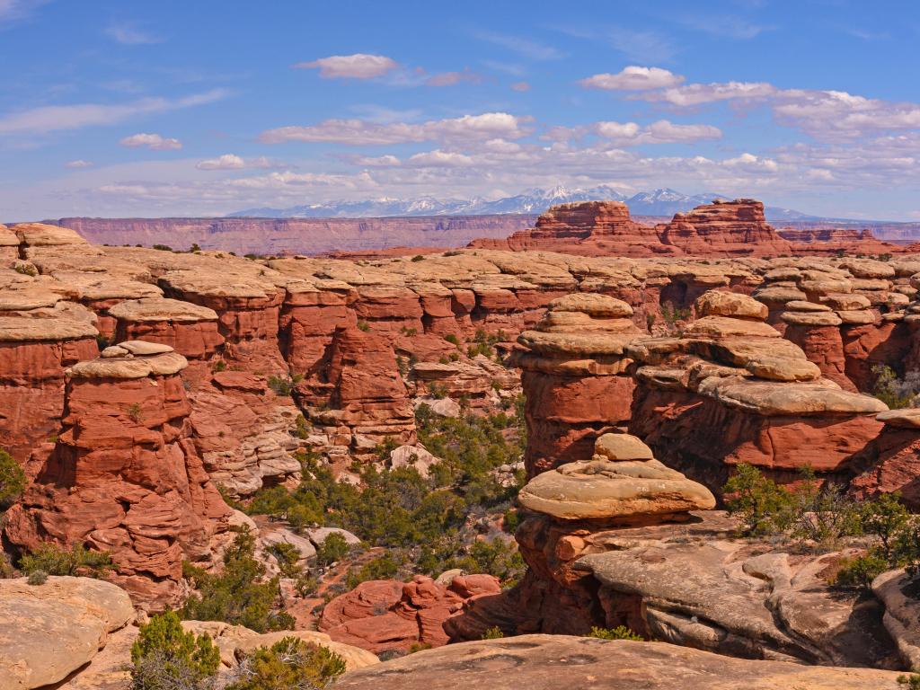 Snowy mountains behind the desert valley and rock formations in Canyonlands National Park in Utah