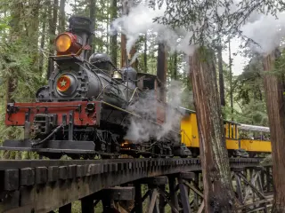 A steam train traveling through the woods with steam coming out of its funnel in California