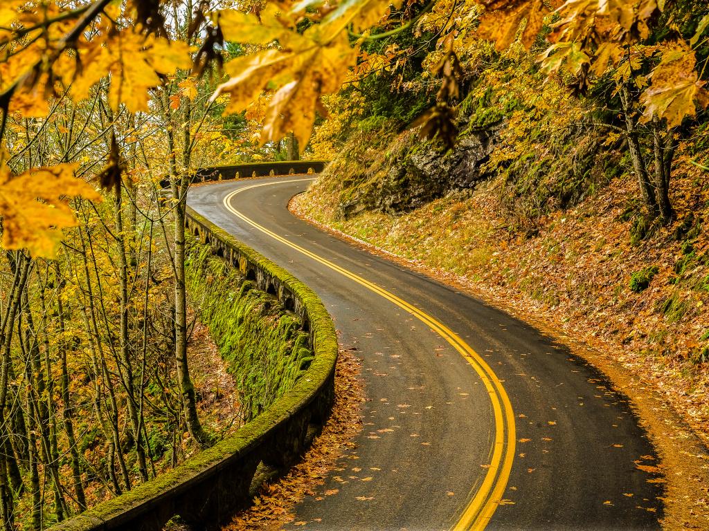  en hisnande enhet på Old Columbia River Highway på hösten med golden leaves faller i vägen i Columbia River National Scenic Area, Orego