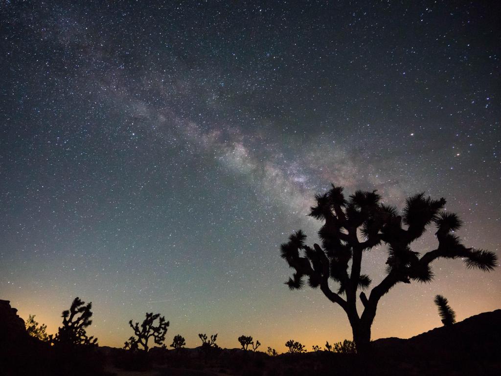 Milky Way in Joshua Tree National Park