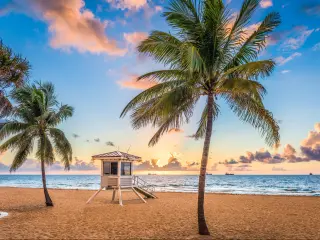 Fort Lauderdale, Florida, USA with the beach in the foreground and a few palm trees, a wooden platform in the middle and the sea in the background at sunset. 