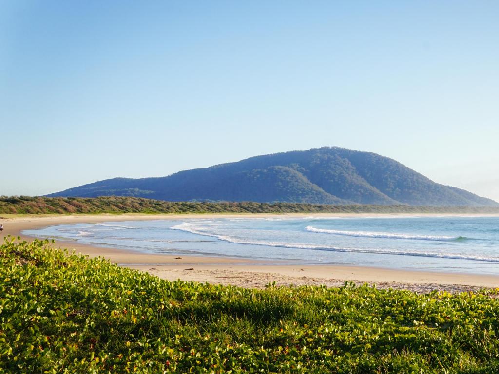 Crowdy Bay National Park, NSW, Australia with greenery in the foreground and the beach and sea before a tree covered mountain in the background.