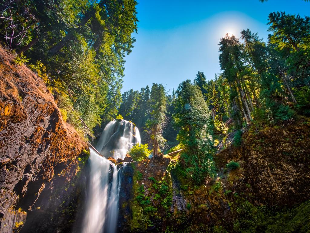 Gifford Pinchot National Forest, Washington, USA with a waterfall surrounded by trees and a blue sky above. 