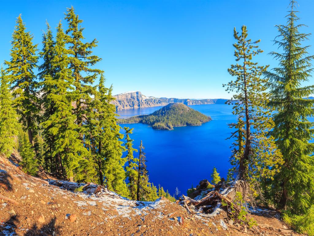The breathtaking view of Crater Lake National Park in the sun, with trees in the forefront.