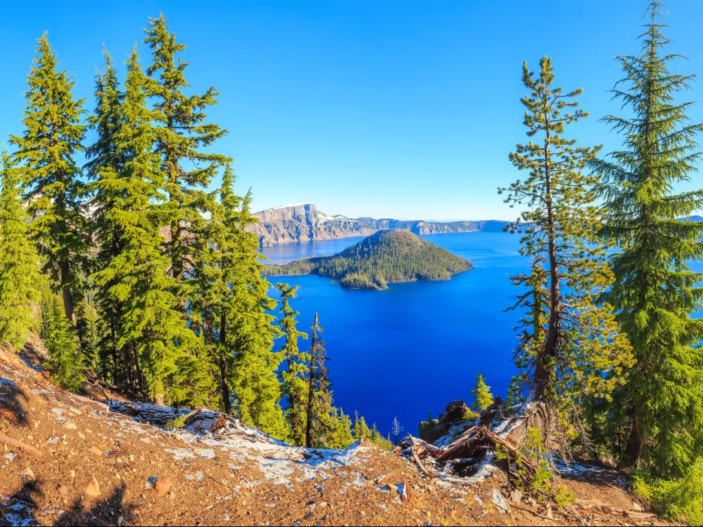 The breathtaking view of Crater Lake National Park in the sun, with trees in the forefront.
