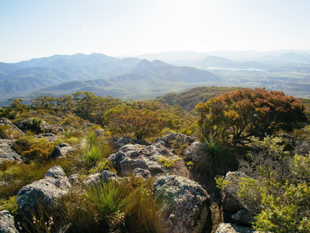 Mt Maroon, Mount Barney National Park, QLD, Australia with a view from the summit.