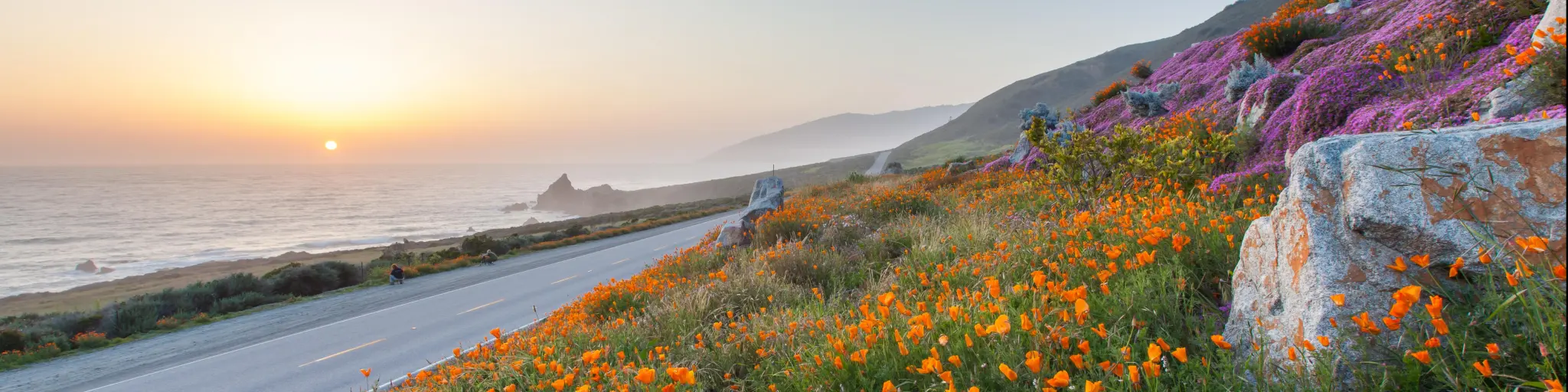 Orange and pink wild flowers next to the road at Big Sur, with the ocean at the foot of cliffs and misty distance