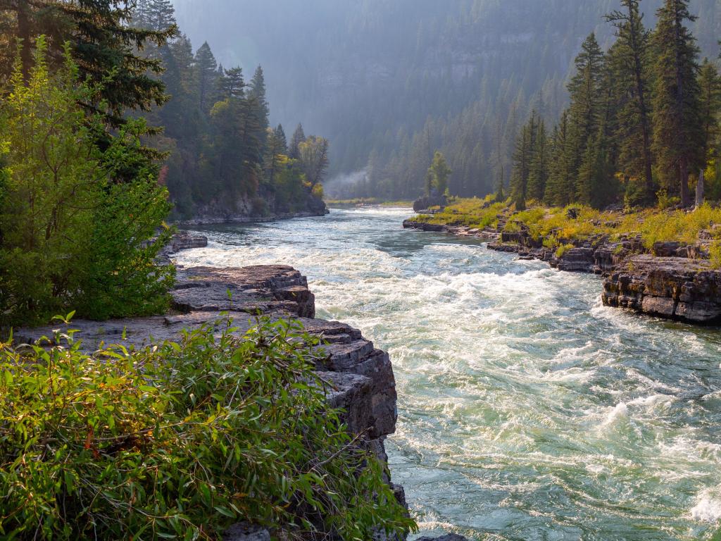 Snake River canyon near Jackson Hole, Wyoming USA