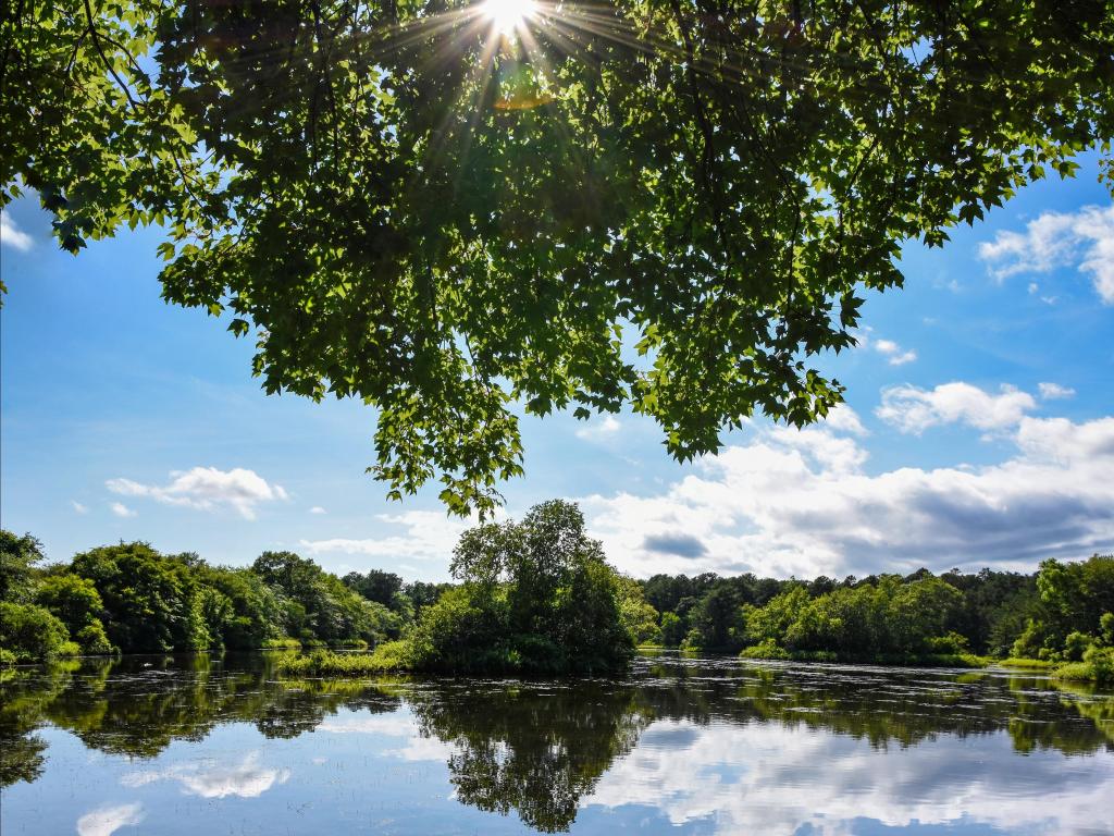 A beautiful, sunny summer day on the lake at the Quogue Wildlife Refuge on Long Island, NY. Lush green trees surround the lake.