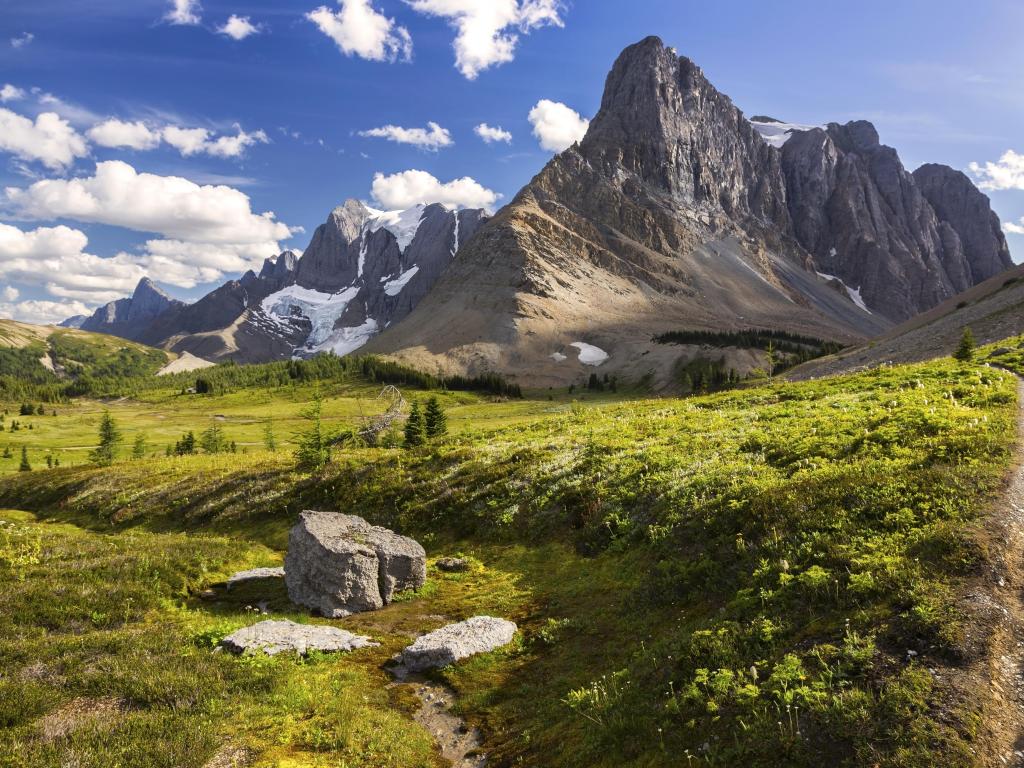 Kootenay National Park, Canada with green alpine meadows in the foreground and Rockwall Mountain Peak Cliffs in the distance on sunny day.