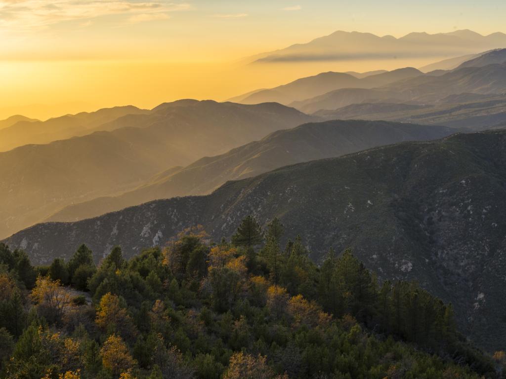 San Bernardino Mountains, California taken at sunrise with a yellow hue in the sky and mountains and trees in the foreground and a mist in the distance.