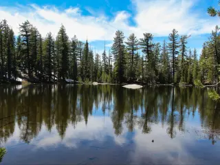 View across Mountain Lake, with pine forests in background, along Clouds Rest Trail