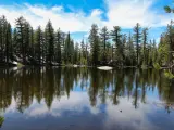 View across Mountain Lake, with pine forests in background, along Clouds Rest Trail