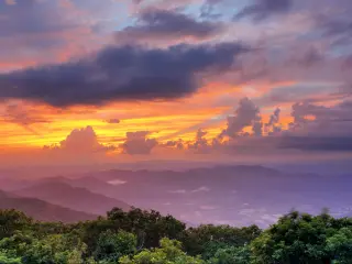 Georgia's Blue Ridge Mountains at sunset with trees in the foreground and an orange and purple sky above