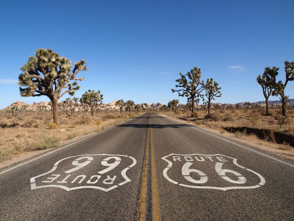 Route 66 with Joshua Trees deep inside California's Mojave Desert.