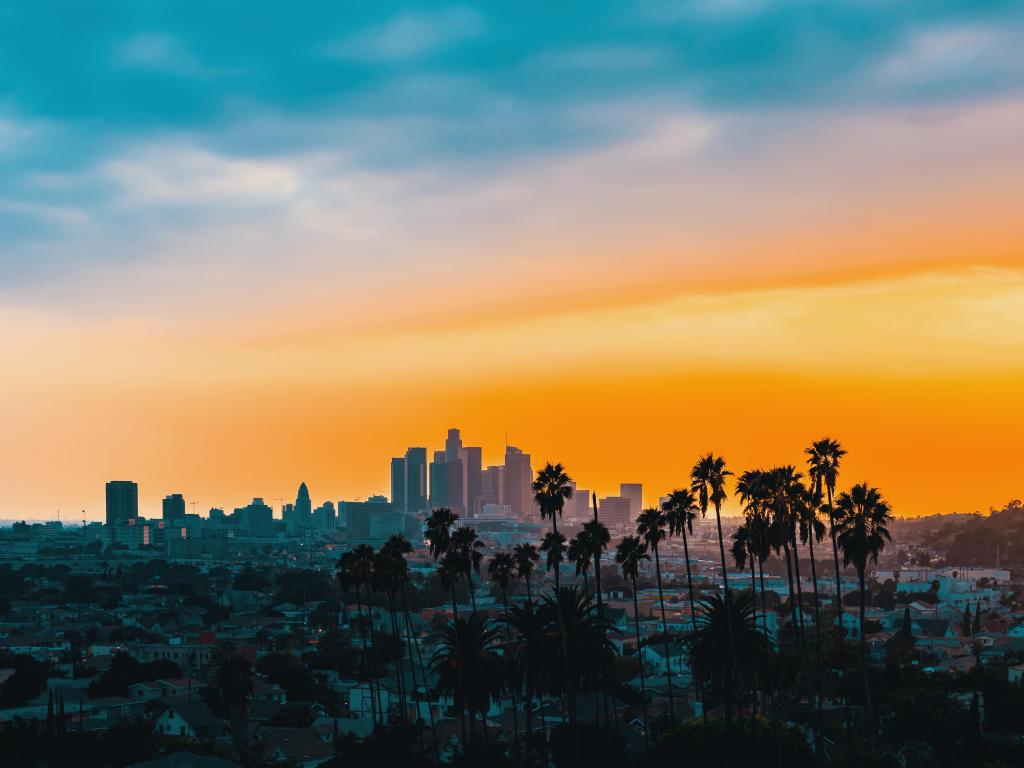 Highrise buildings of downtown Los Angeles in orange sunset light with silhouetted palm trees in the foreground
