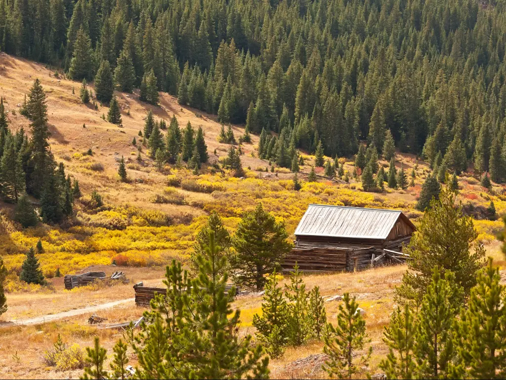 Independence Ghost Town in the White River National Forest, Colorado