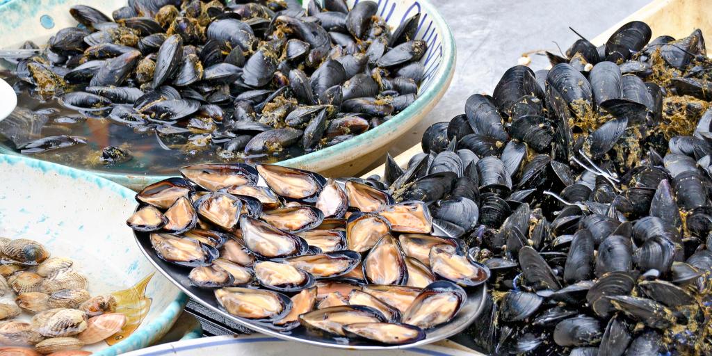 Bowls of shellfish at Gallipoli Fish Market in Puglia 