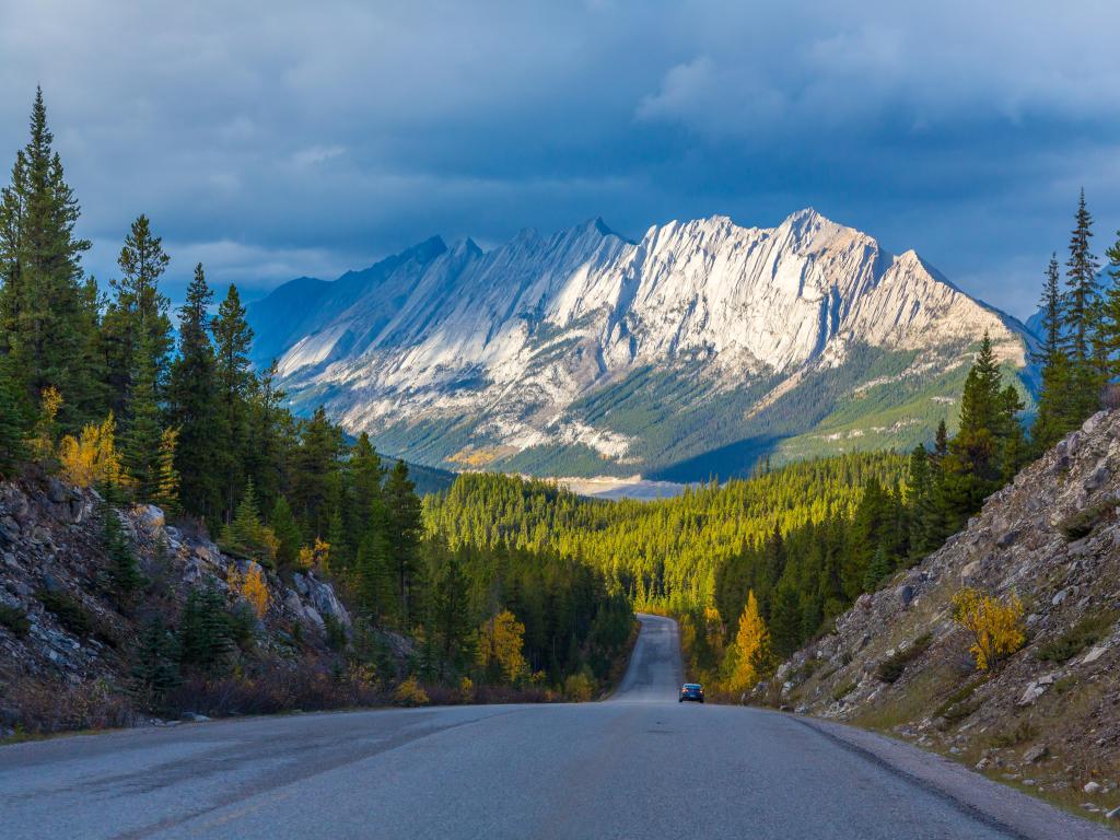 View of snow topped mountains, with long road leading to the mountains in the background surrounded by forests