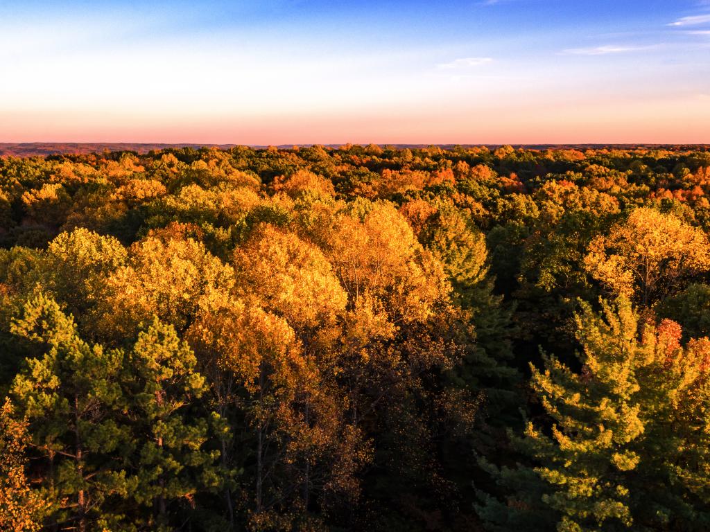 View from Hickory Ridge Fire Tower in Hoosier National Forest