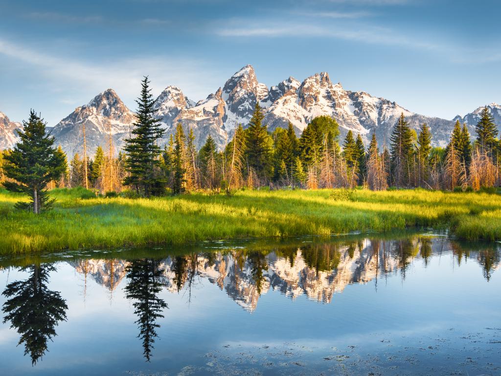 Mountains of the Grand Teton National Park from a distance with a forest and river in the foreground.