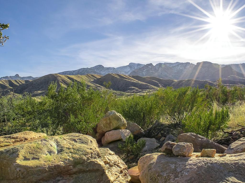 Coronado National Forest, Arizona, USA taken at the north face of Mount Graham Arizona near Pima, Arizona.