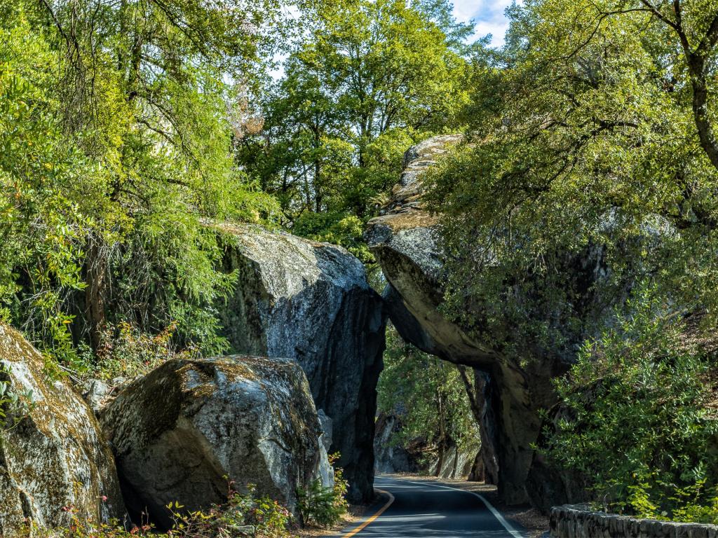 Tree and greenery-covered rock formations creating an arch over the highway at the entrance of Yosemite