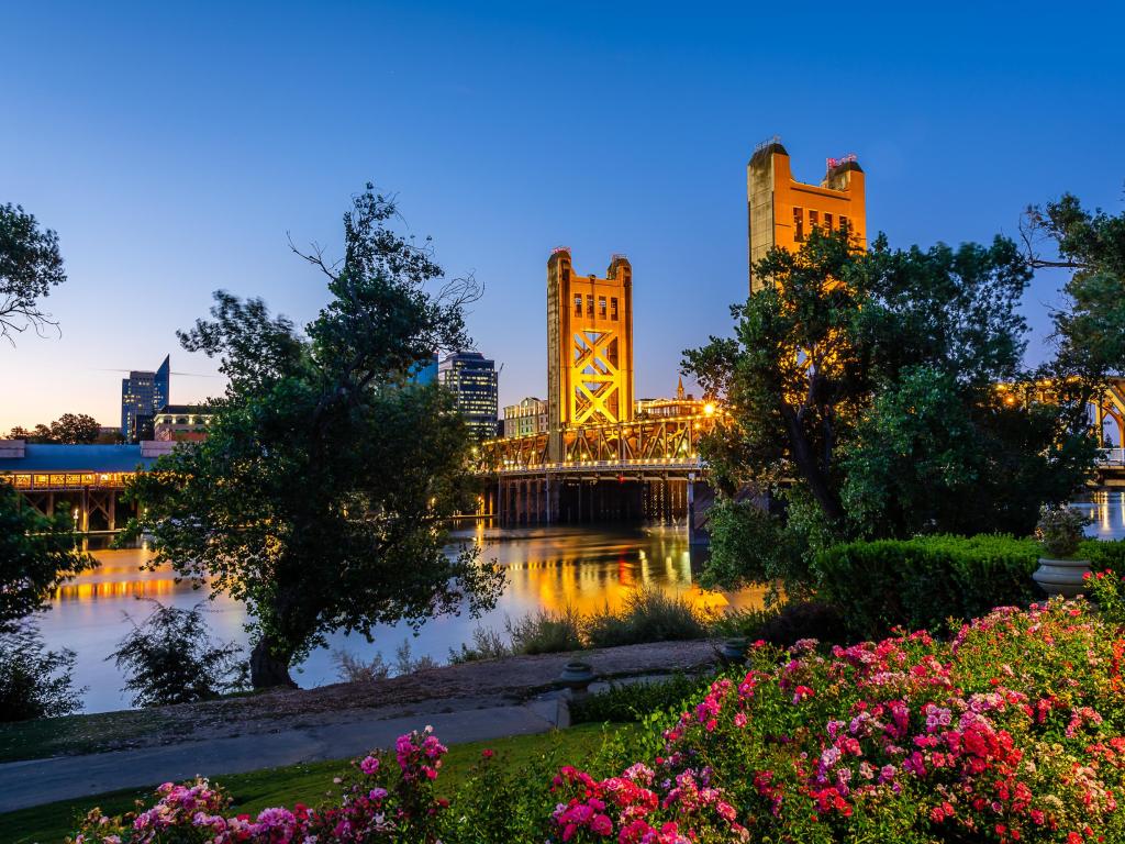 Bridge and river in golden dawn sunlight with pink and red flowers in the foreground