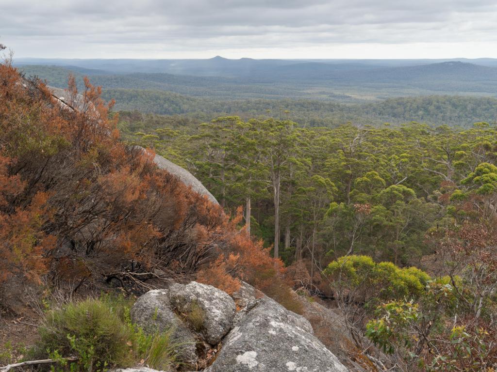 Mount Frankland National Park