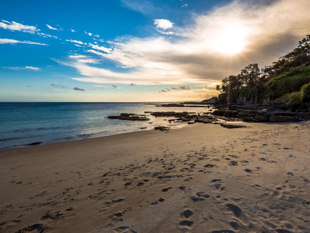 Cape Conran, Australia at sunset with a big sandy beach, gentle sea and trees in the distance. 