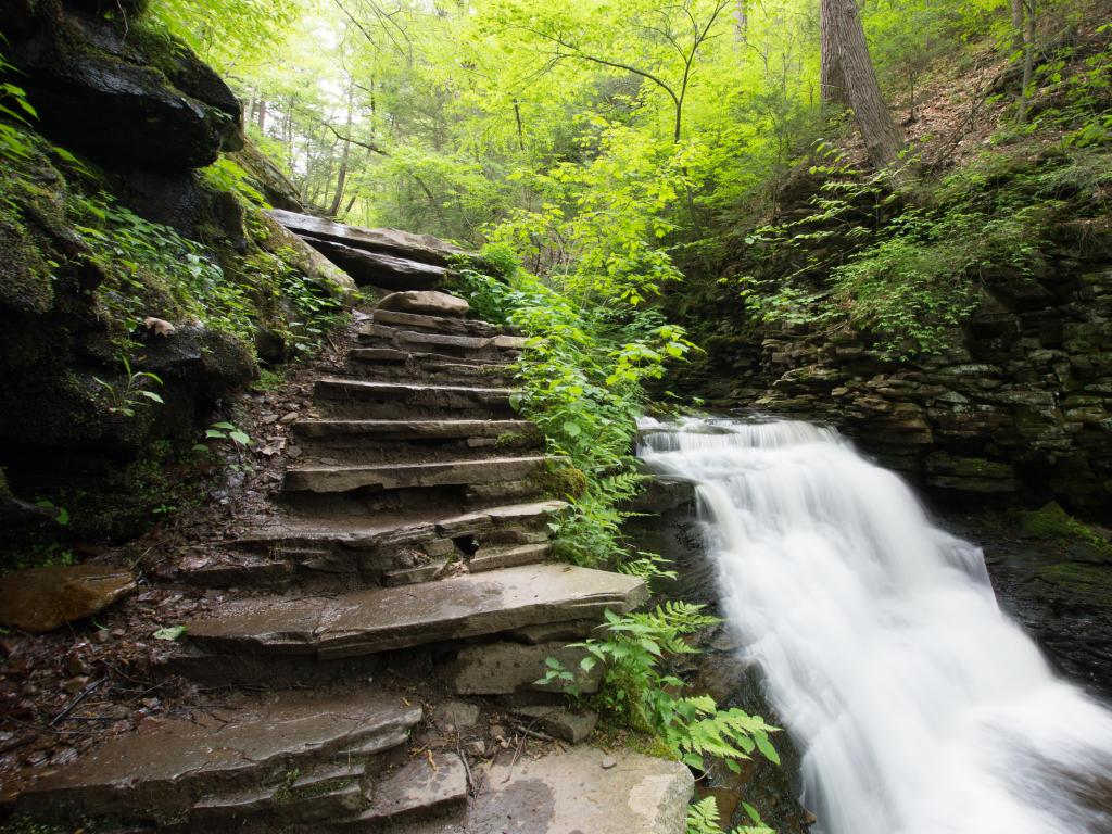 The Poconos, Pennsylvania, USA with a scenic waterfall in Ricketts Glen State Park and stone steps alongside it, surrounded by greenery and trees.