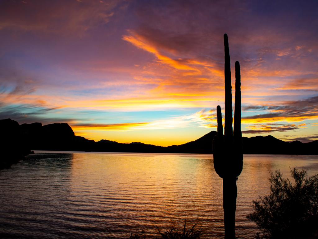 Sunset reflection off of Saguaro Lake with a silhouette of a Saguaro cactus in the foreground