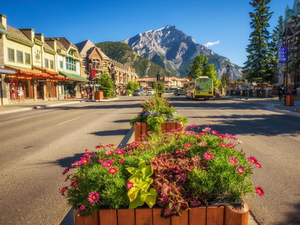 Banff, Alberta, Canada with beautiful flowers on the famous Banff Avenue on a sunny summer day, the Cascade Mountain in the distance.
