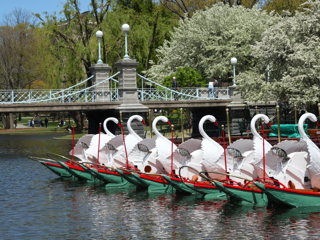 View of swan boats and Lagoon Bridge of Boston Public Garden
