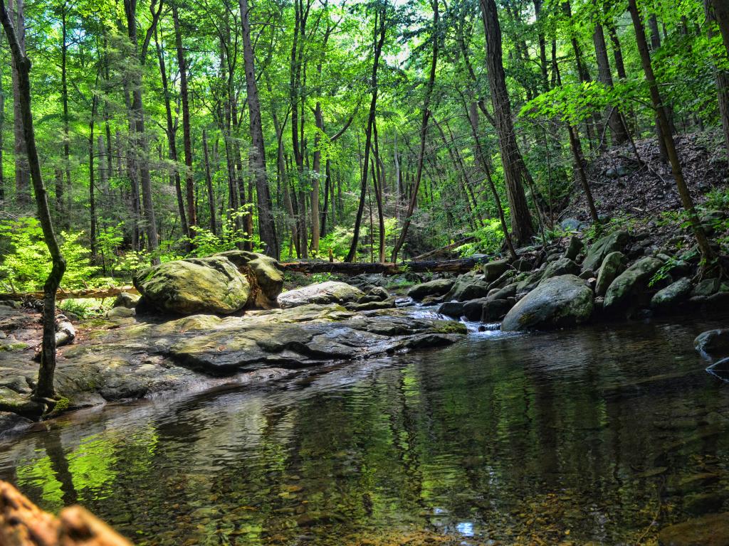 Small creek in Black Rock Forest, Cornwall, New York