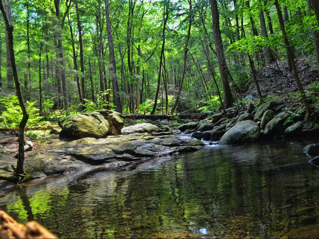 Small creek in Black Rock Forest, Cornwall, New York