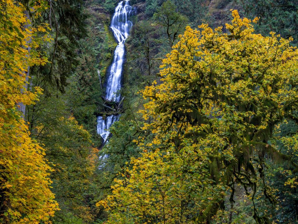 Beautiful waterfall cascading through rocks, image framed by autumnal trees