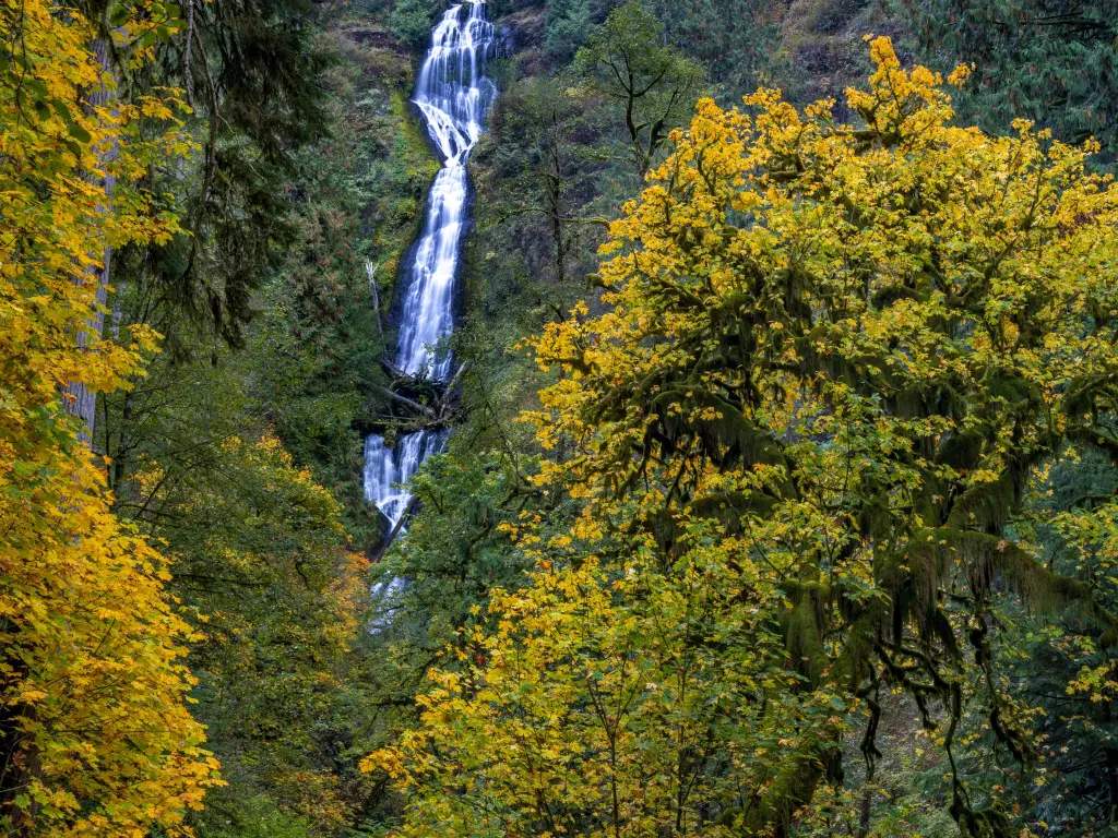 Beautiful waterfall cascading through rocks, image framed by autumnal trees