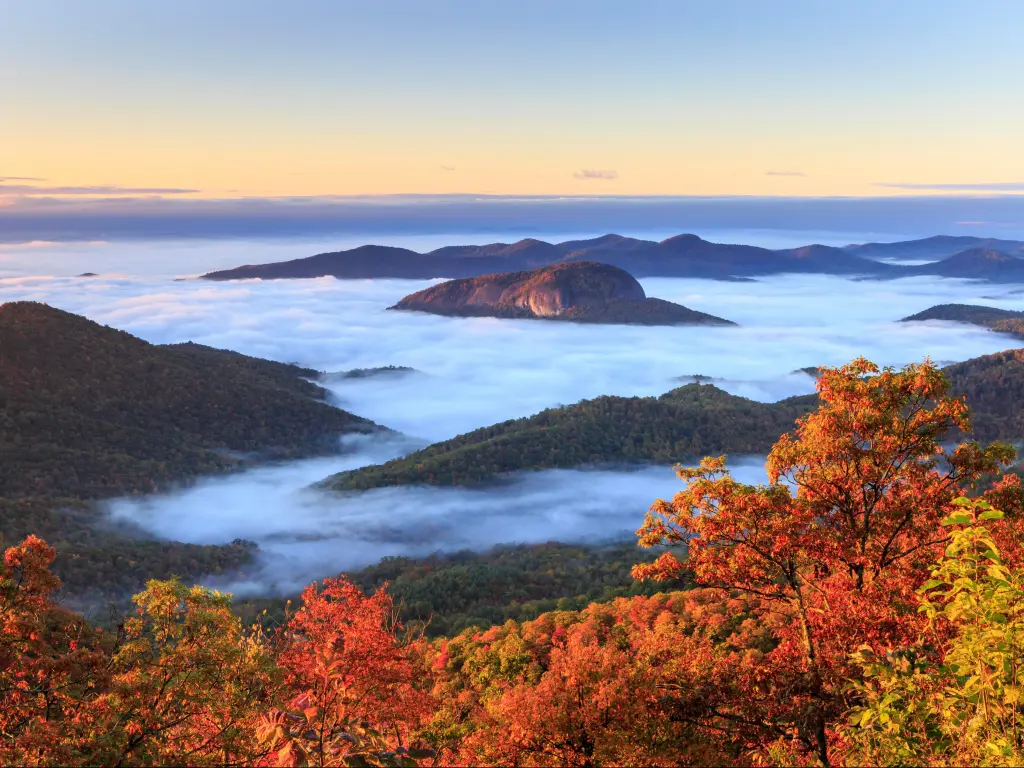 View of the southern Appalachian Blue Ridge Mountains cradled in fog in fall with red foliage on the trees