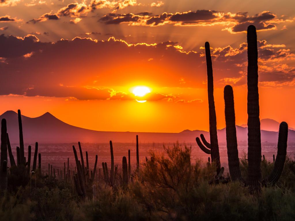 Tucson, Arizona, sunset in the desert